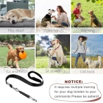 Dog Whistle, 2 Pack Adjustable Ultrasonic Dog Whistle to Stop Barking for Dogs, Recall Training, Professional Ultrasonic Silent Dog Whistle Training Control Tool for Dogs, with Black Strap Lanyard - Image 6