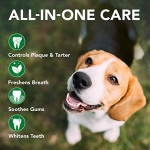 Vet's Best Dog Toothbrush & Toothpaste Kit - Natural Ingredients Reduce Plaque, Whiten Teeth, Freshen Breath - Image 6