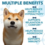 Hemp Calming Chews for Dogs with Anxiety and Stress - Dog Calming Treats - Dog Anxiety Relief - Storms, Barking, Separation - Valerian - Hemp Oil - Calming Treats for Dogs - Made in USA - Image 2