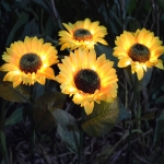 Homeleo Upgraded 4-Flower Solar Sunflower Lights for Yard Decor,Waterproof Outdoor Garden Decorative Artificial Flowers Stake Ornaments for Lawn Patio Porch Flowerbed Thanksgiving Cemetery Decorations - Image 2